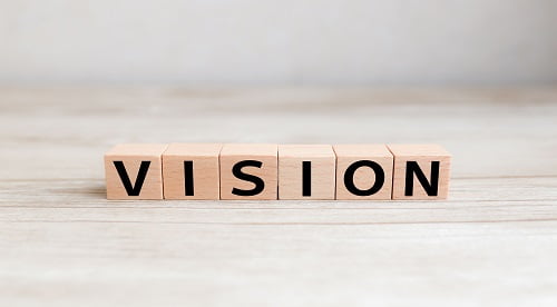 Vision